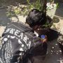 ธนภัทร ชุณหวรังกูร